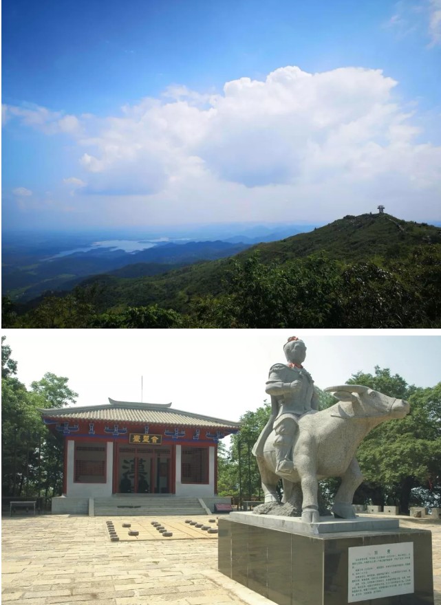 香港六和合现场直播